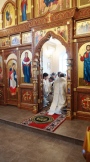 DSC08482.jpg