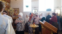 DSC08670.jpg