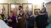 DSC00306.jpg