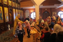 IMG_9884.JPG