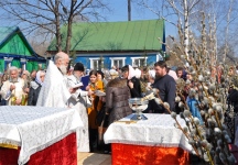 DSC_1362.jpg