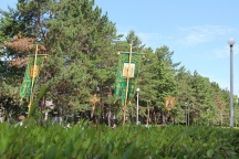 06.JPG