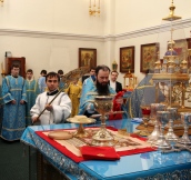 IMG_8500.JPG