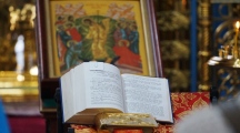 DSC02883.jpg